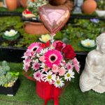 Balonlu Kutu Aranjman