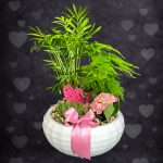 Aşk Bahçesi Aranjman - Beyaz/Pembe