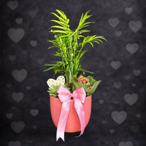 Mini Aşk Bahçesi Aranjman - Pembe